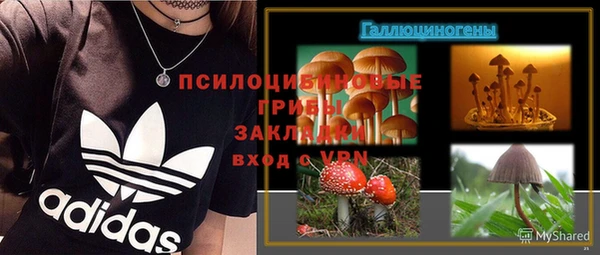 тгк Липки